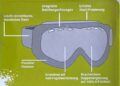 Damen Herren Ski Brille Snowboard Brille Anti Fog Kratzfester Bruchicherer Plycarbonat Außenscheibe (5)